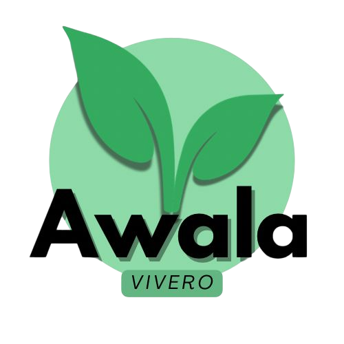 Awala Vivero